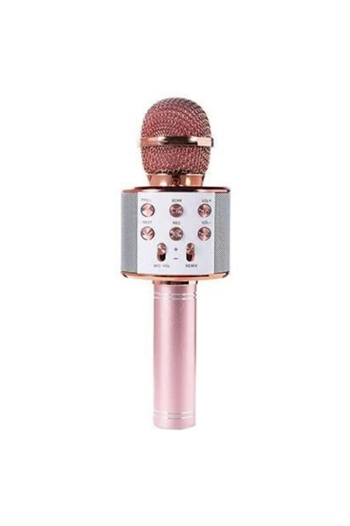 Ws-858 02 Karaoke Mikrofon Aux Usb Ve Sd Kart Girişli Bluetooth ROSE